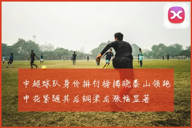 中超球队身价排行榜揭晓泰山领跑申花紧随其后铜梁龙涨幅显著