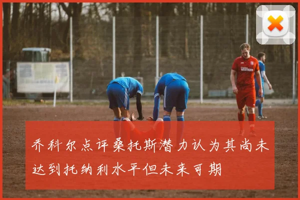 乔科尔点评桑托斯潜力认为其尚未达到托纳利水平但未来可期